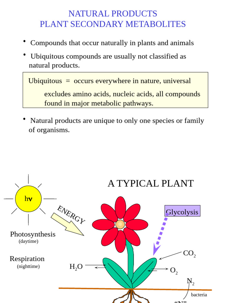Plant Secondary Metabolites | PDF | Phenolic Content In Wine | Metabolism