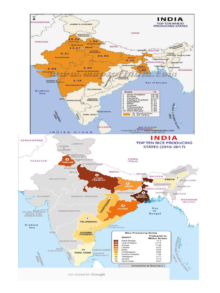 Rice and Wheat | PDF