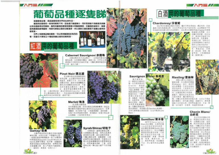 Grape Variety | PDF