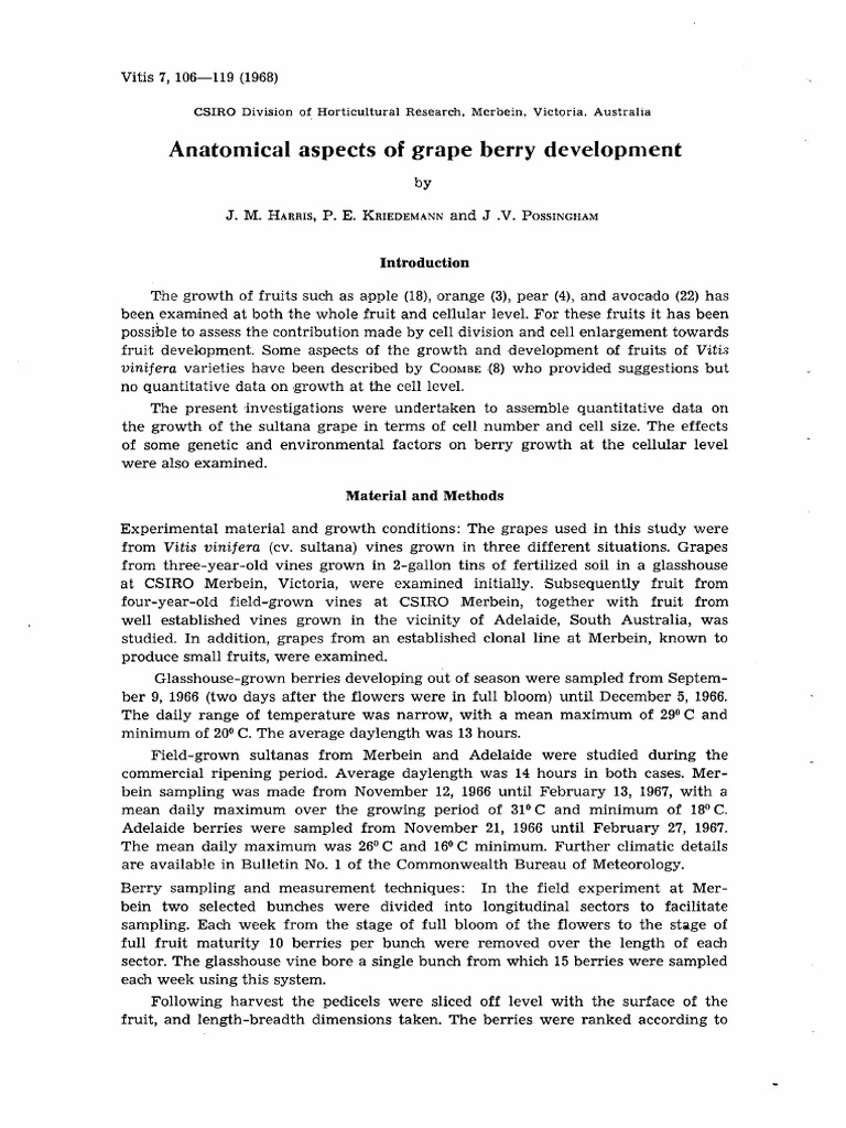 Grape Berry Development Analysis | PDF | Vitis | Fruit