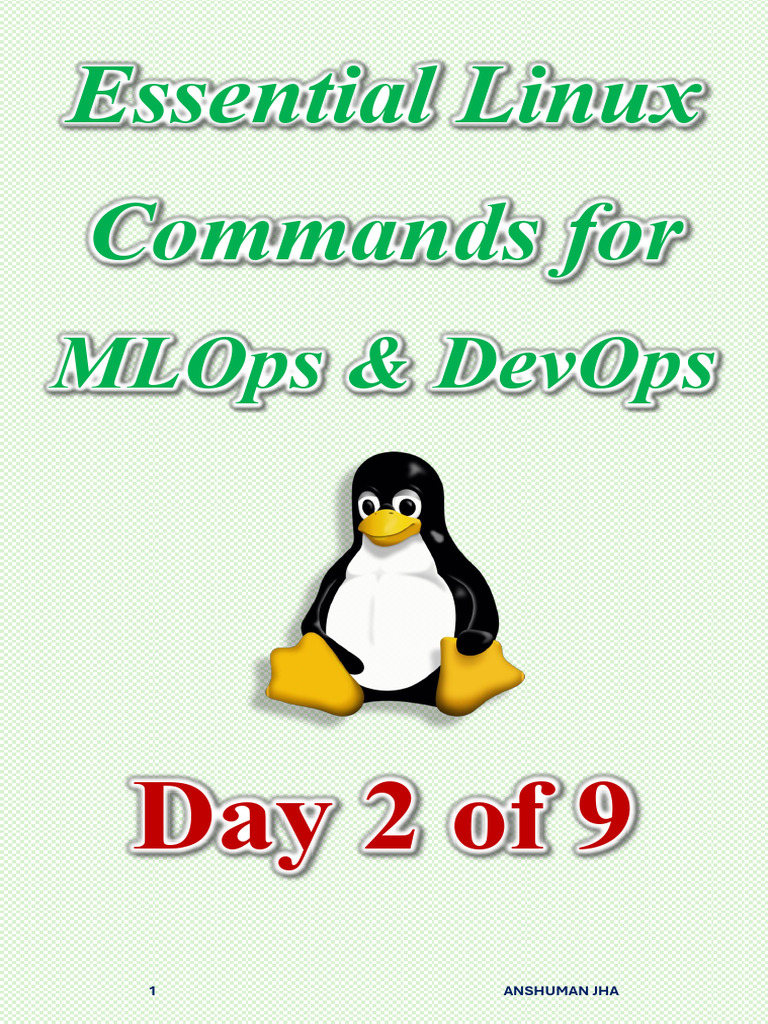 Day 2 of 9 Basic Essential Linux Commands 1724901014 | PDF | Computer ...