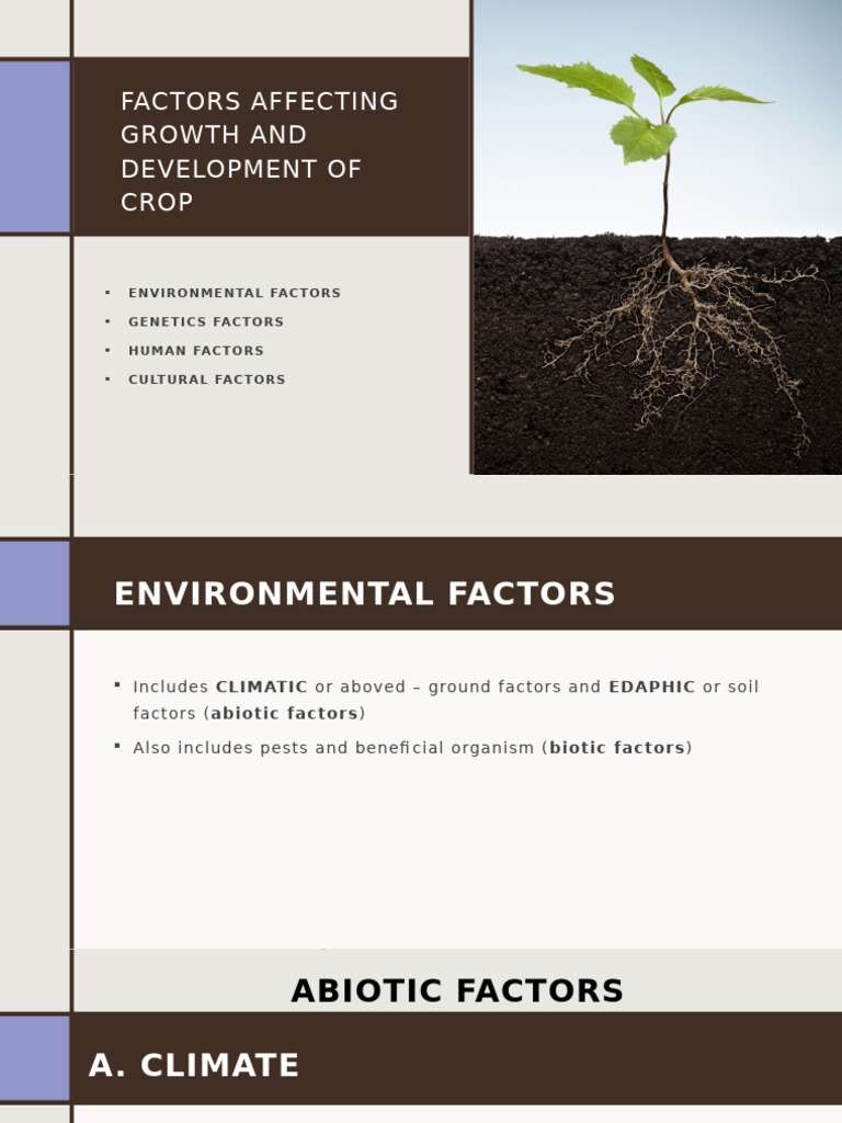 Factors Influencing Crop Growth | PDF | Soil | Tropical Cyclones