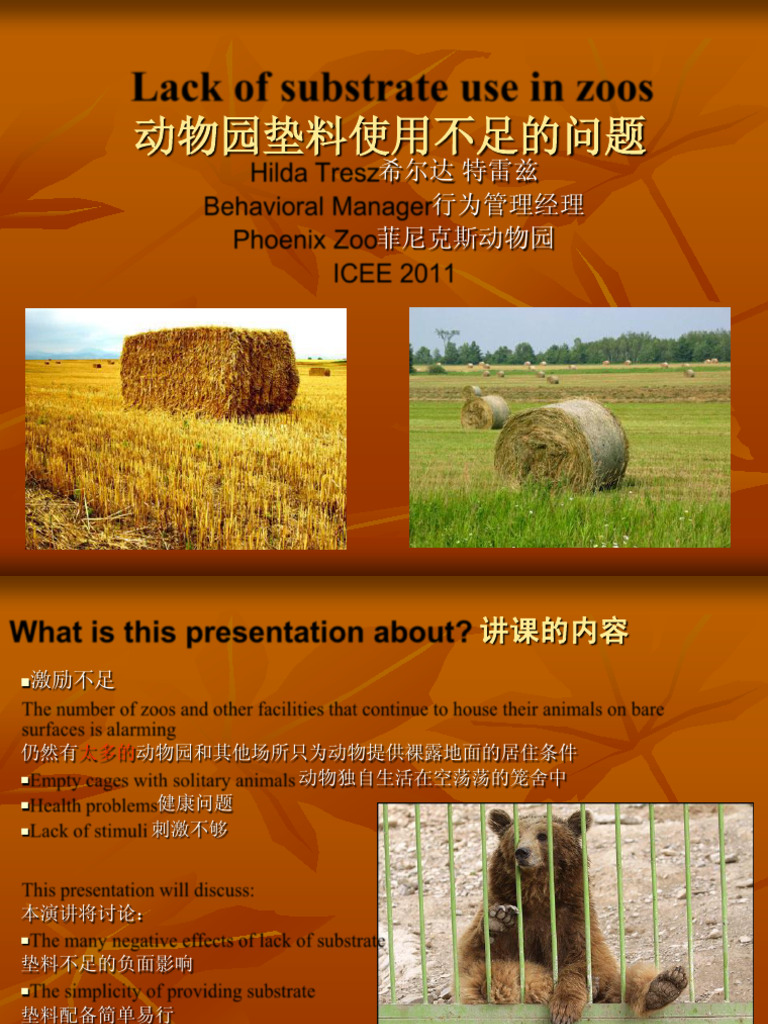 Substrate Benefits for Zoo Animals | PDF
