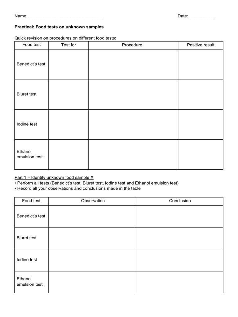 5090 Practical Assignment 8 | PDF