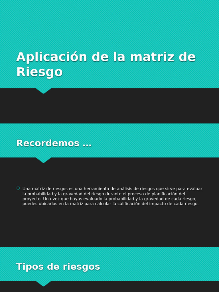 Guía para Crear una Matriz de Riesgos | PDF | Riesgo | Business