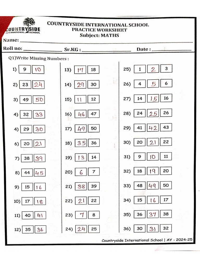 Practice Worksheet On Maths | PDF