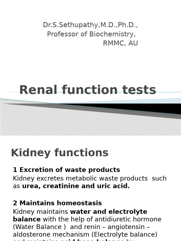 Comprehensive Guide to Renal Function Tests | PDF | Creatinine | Kidney
