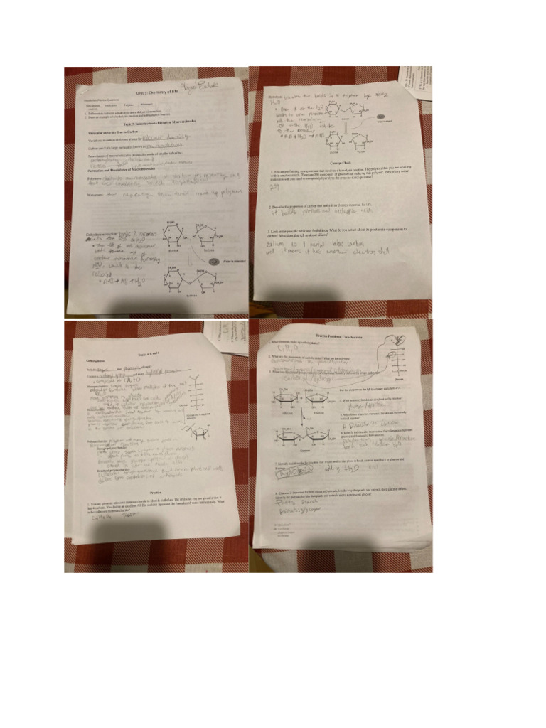 Chapter 5a Notes Packet | PDF