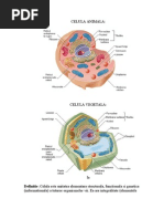 Structura Si Ultra Structura Celulei