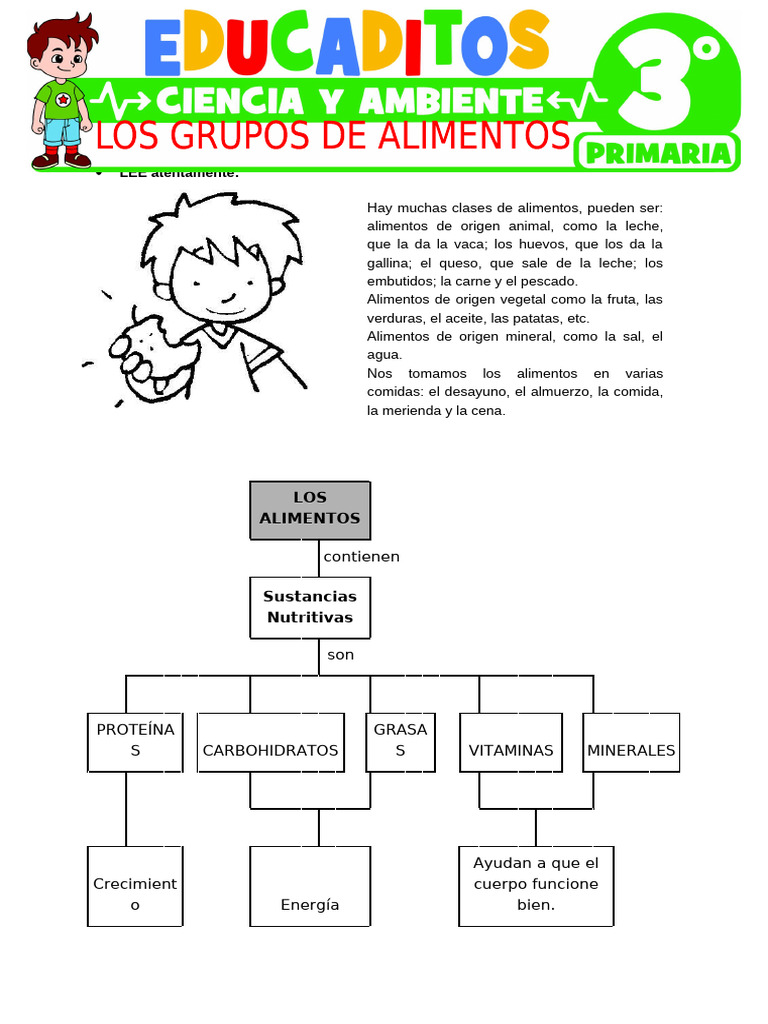 Los Grupos de Alimentos para Tercer Grado de Primaria | PDF | Alimentos ...