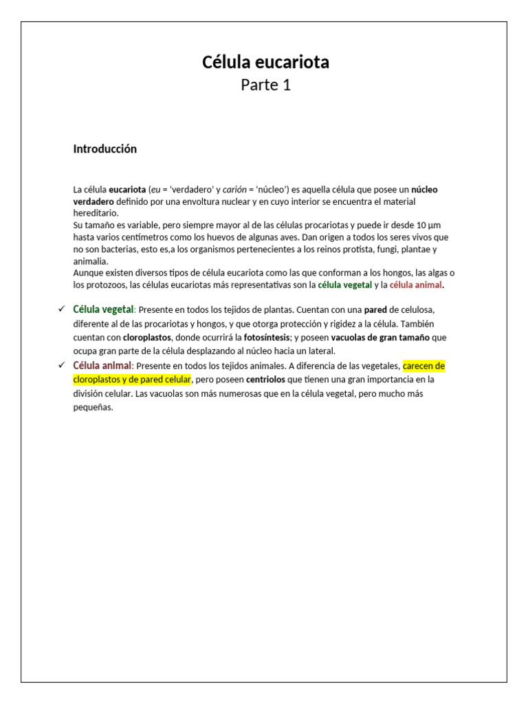 Estructura y Función de Células Eucariotas | PDF | Nucleo celular ...