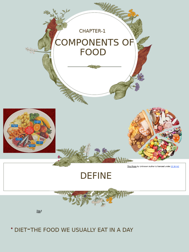 Components of Daily Diet Explained | PDF