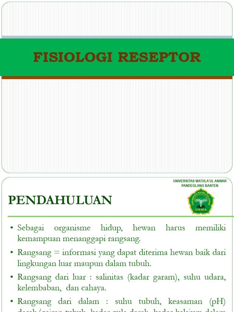 Fisiologi Reseptor pada Hewan | PDF