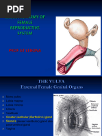 Uterine Ligaments: Anatomy and Functions | PDF