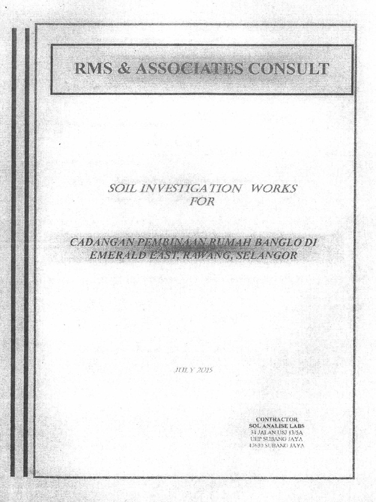 Si Report From Rms and Associates Consult | PDF