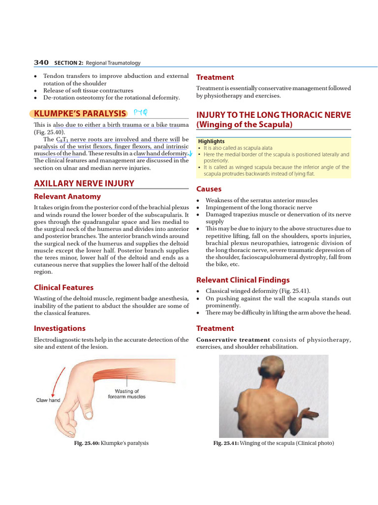 ORTHO PYQ INICET visual data 2