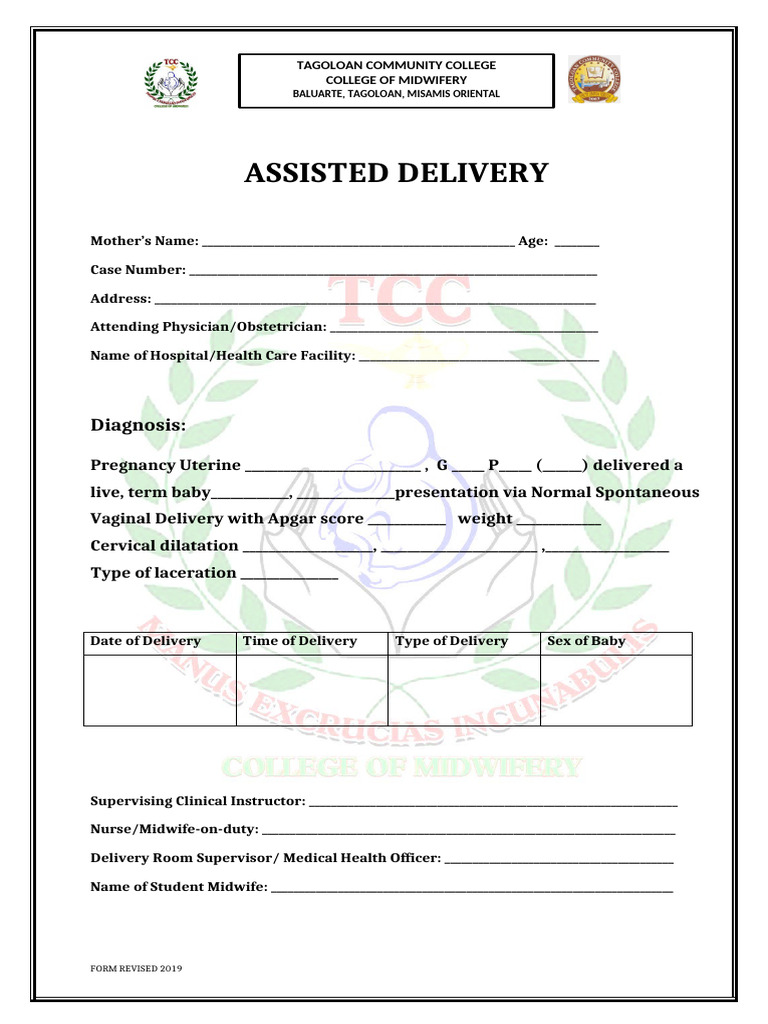 Assisted Delivery Record Template | PDF