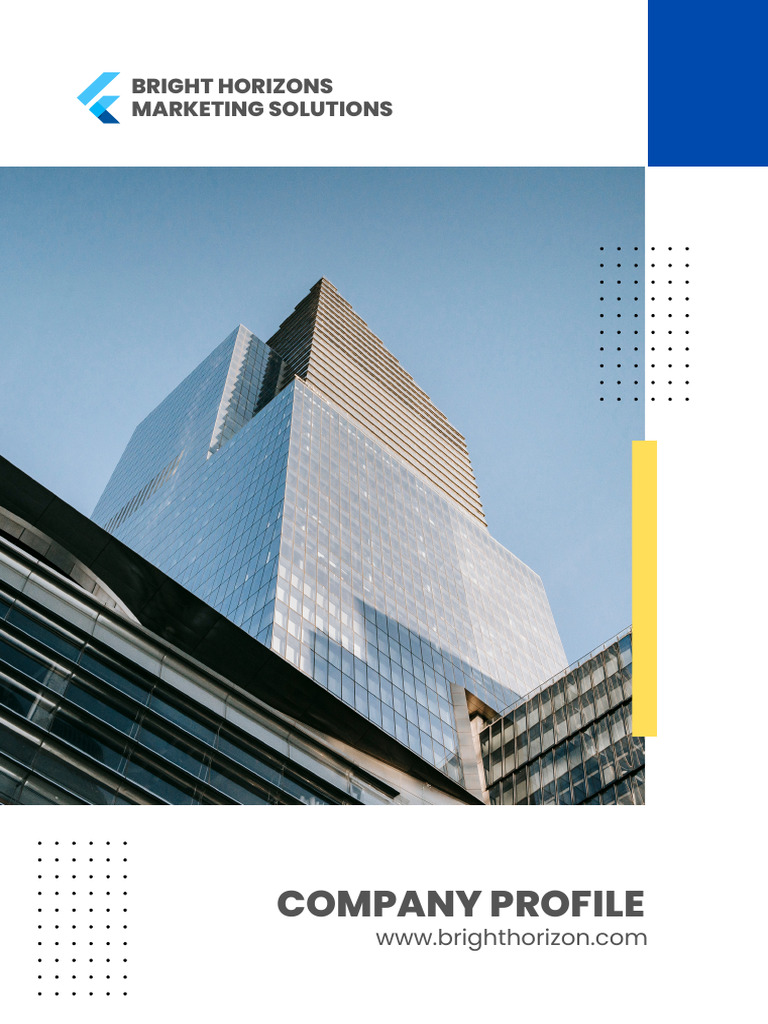 Company Overview | PDF | Marketing | Digital Marketing