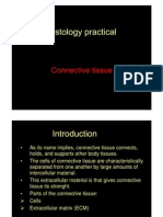 Connective Tissue Histology