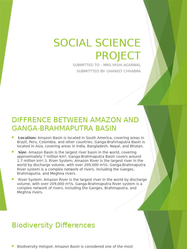 SOCIAL SCIENCE PROJECT | PDF | Amazon Rainforest | Earth Sciences