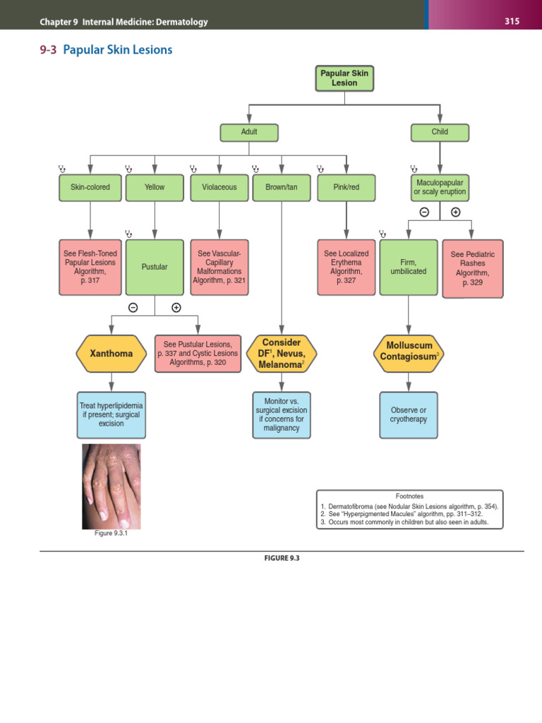 Dermatology Clinical Algorithms for Step 2 | PDF | Medical Specialties ...