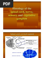 Histology of the Spinal Cord, Nerve, Sensory and Vegetative Ganglia
