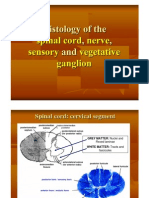 Histology of The Spinal Cord, Nerve, Sensory and Vegetative Ganglia