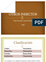 Otros Insectos