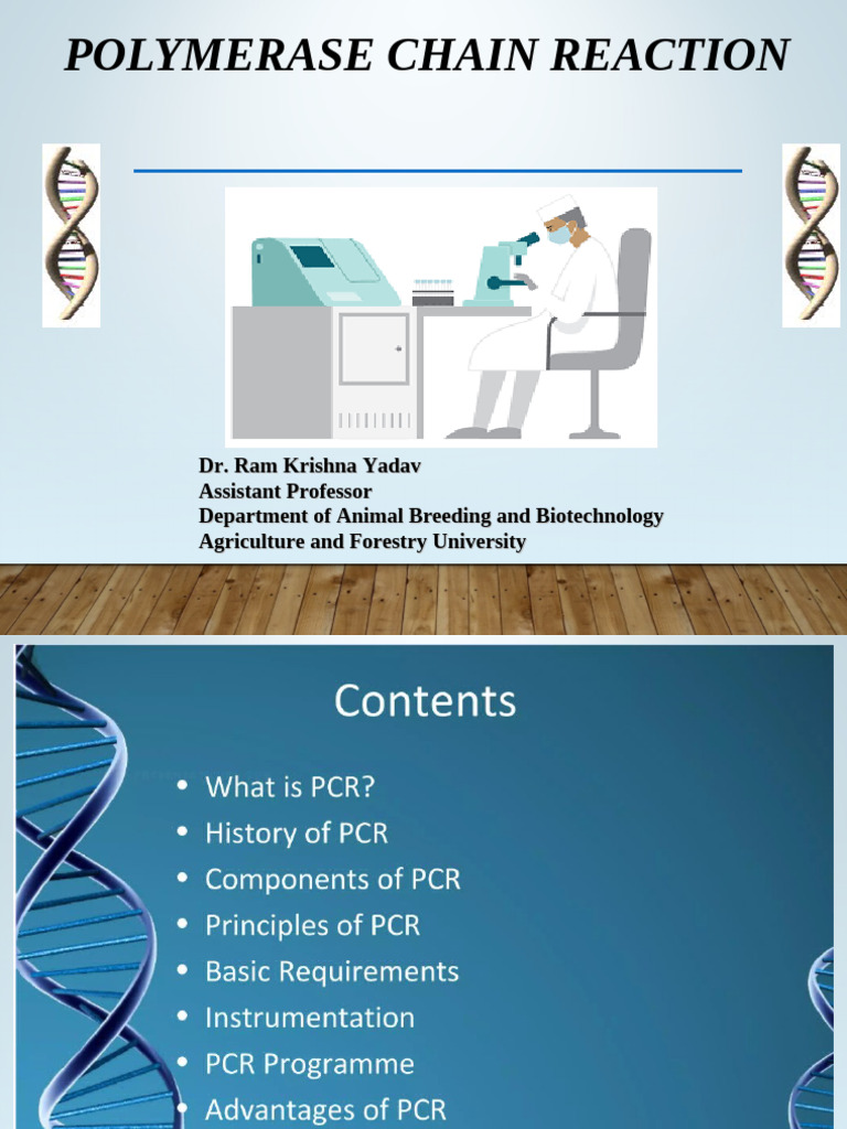 Understanding Polymerase Chain Reaction | PDF | Primer (Molecular ...