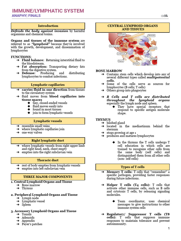 Immune System Overview and Functions | PDF | Lymphatic System | Lymph Node