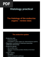 Download Histology of the Endocrine Organs by shmirtb SN8175312 doc pdf