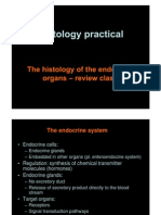 Histology of The Endocrine Organs