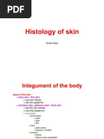 Histology of The Skin