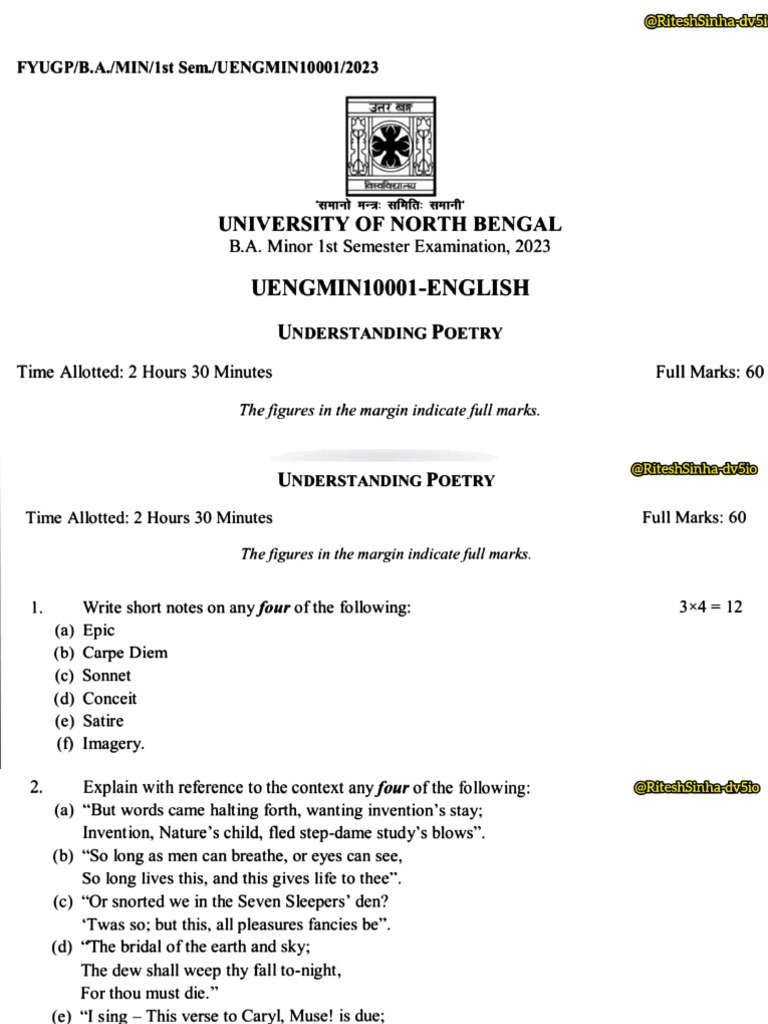 English (Minor) Previous Year Questions Paper - by Palak | PDF