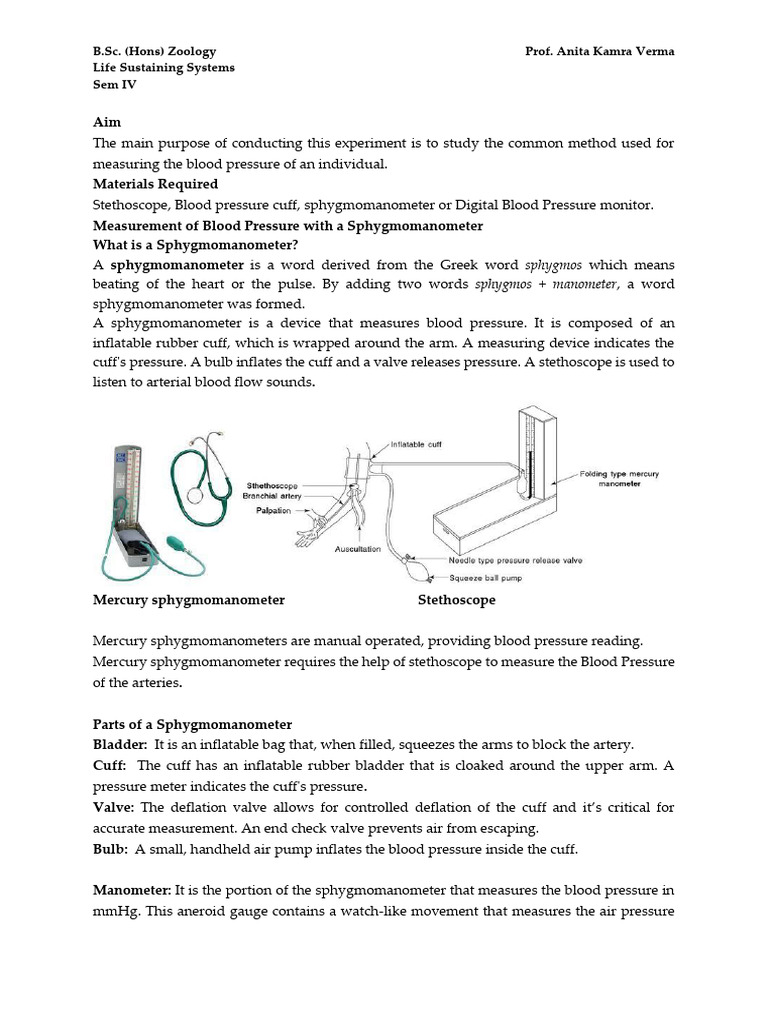 Blood Pressure Measurements - 241024 - 190650 | PDF | Blood Pressure ...