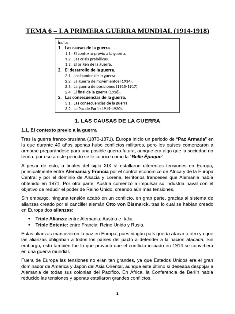 Causas y desarrollo de la Primera Guerra Mundial | PDF | Primera Guerra ...
