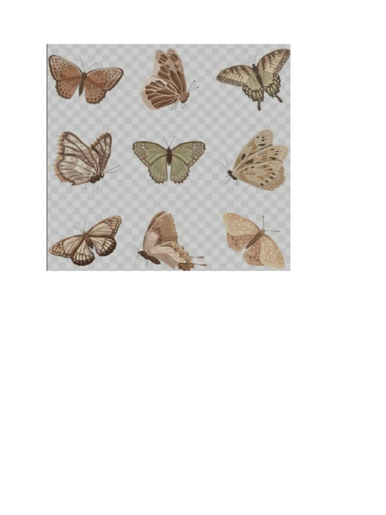 Butterflies | PDF