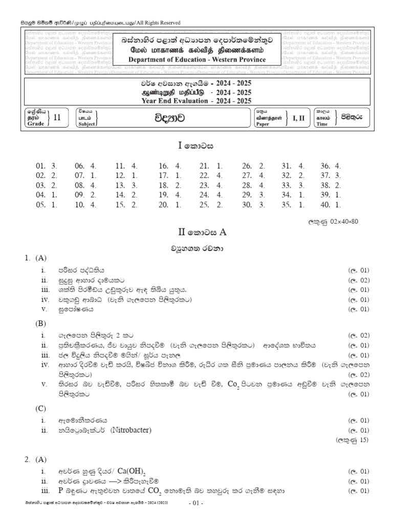 Science 11 I, II (Sin) Answer | PDF