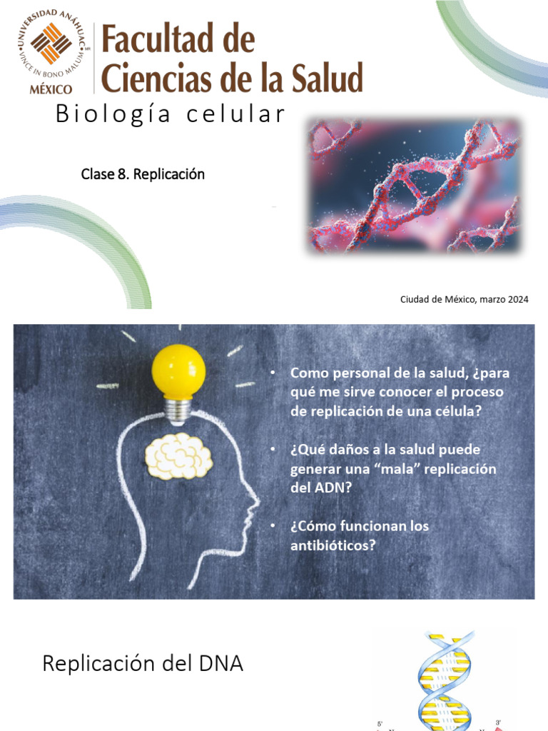 Clase 8 - Replicación | PDF | Replicación De Adn | Adn