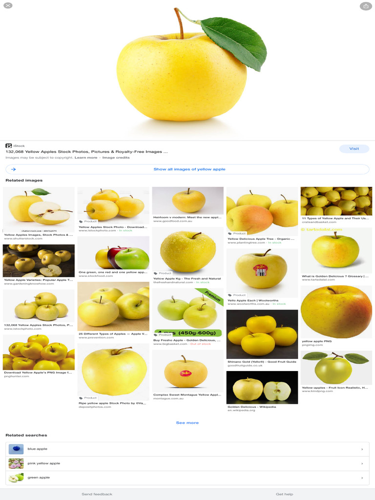 Types of Yellow Apples Explained | PDF | Apple | Fruit