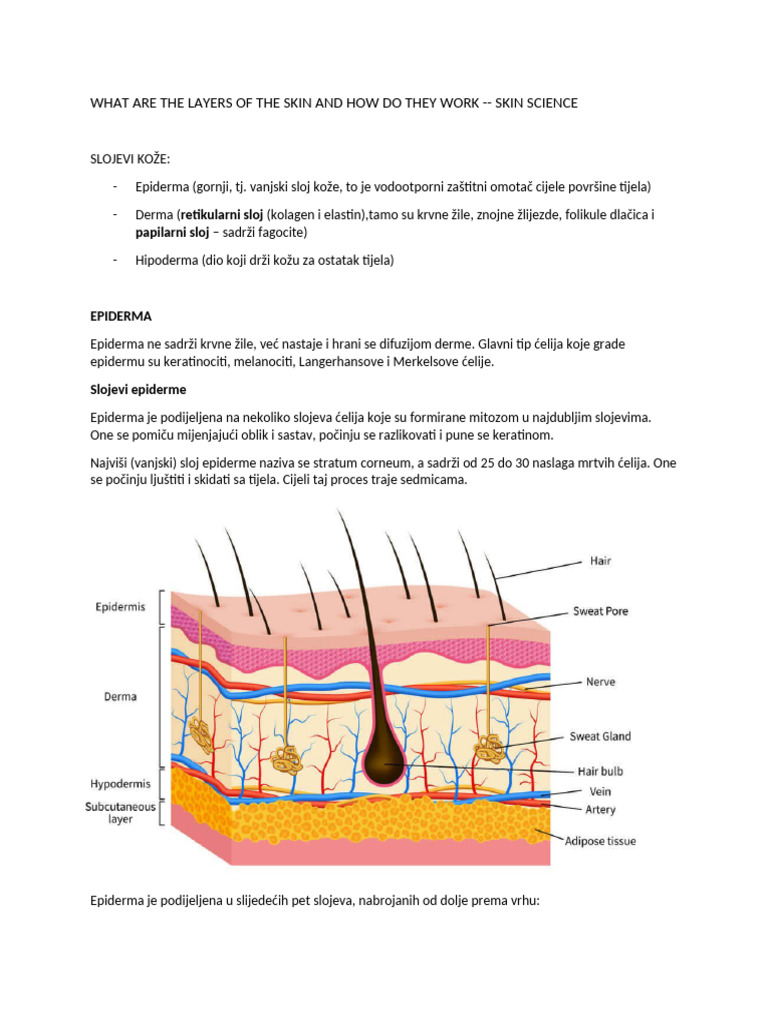 Skin Science | PDF