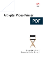 Adobe DV Primer
