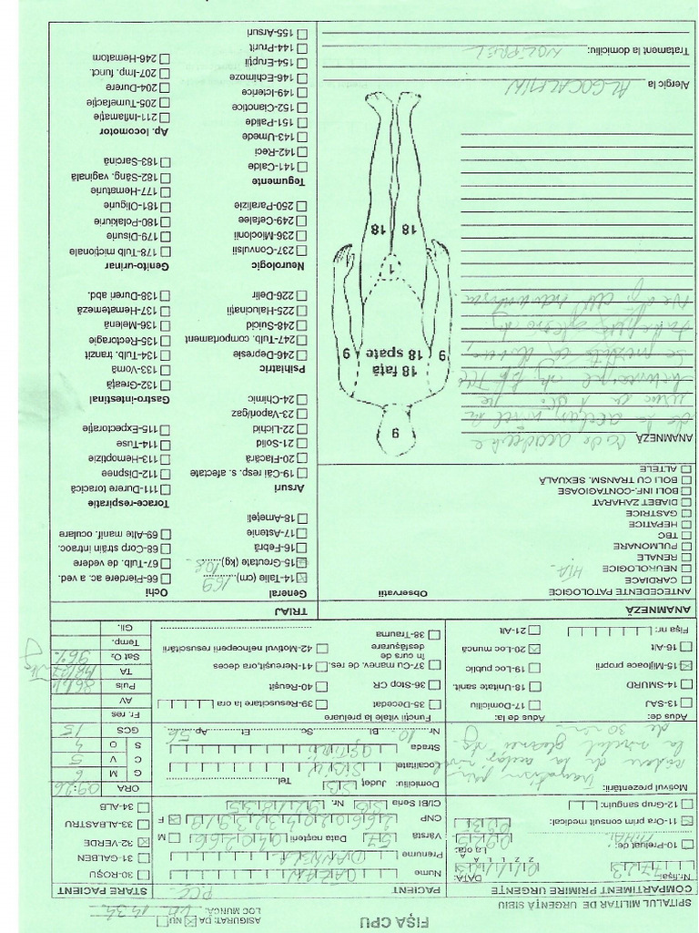 51 | PDF