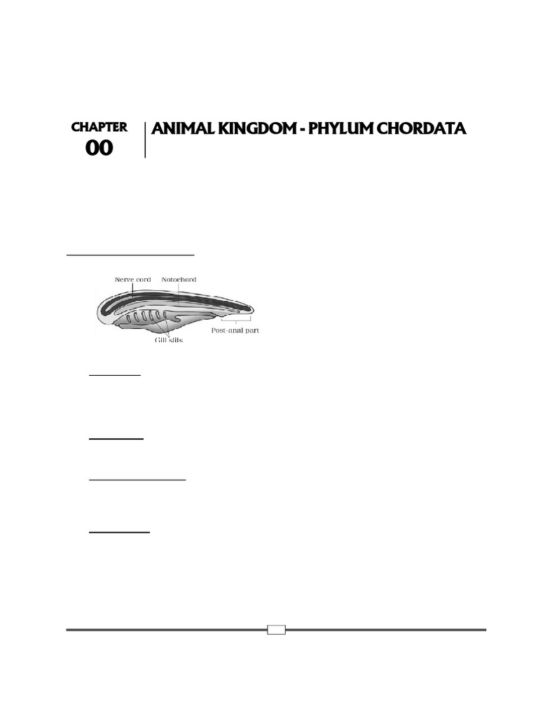 Phylum Chordata Overview and Classification | PDF | Amphibian | Fish