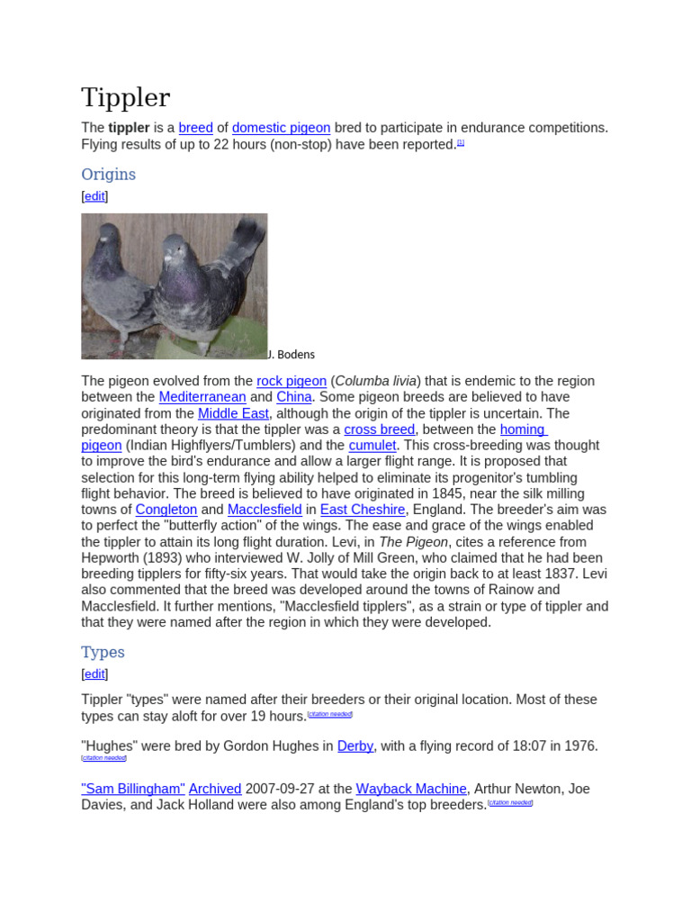 Tippler | PDF | Ornithology | Domesticated Birds