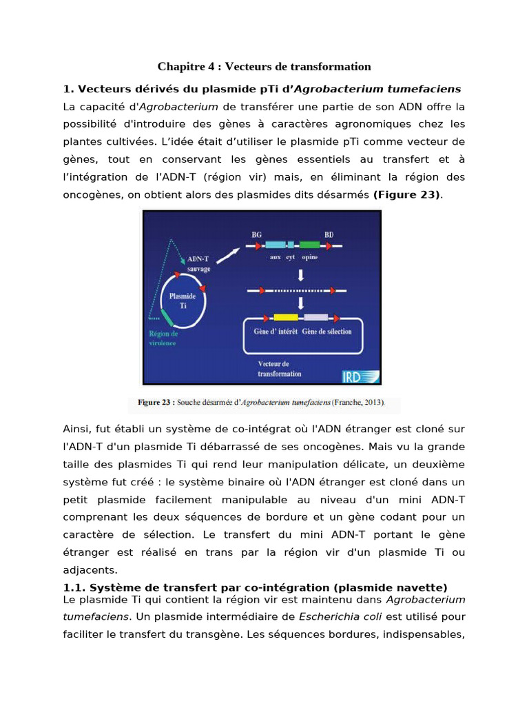 Vecteurs de transformation par plasmides | PDF | Plasmide | Gène