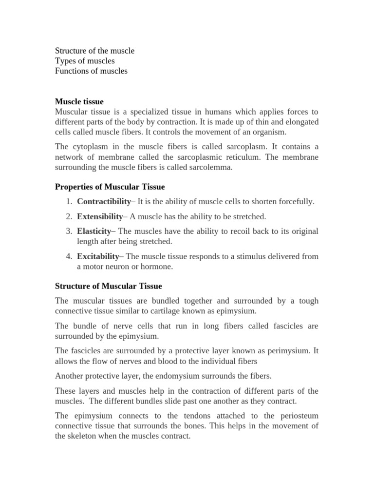 Overview of Muscular Tissue Types | PDF | Muscle | Skeletal Muscle