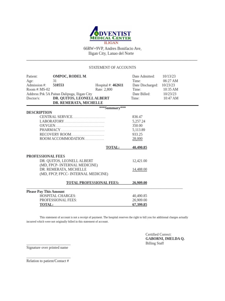 Patient Statement of Accounts Summary | PDF | Health Care | Medicine