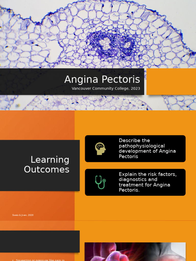 Angina Pectoris (2023) | PDF | Myocardial Infarction | Heart