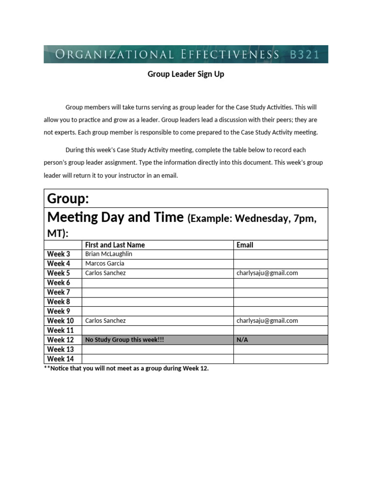 Group Leader Assignment Tracker | PDF